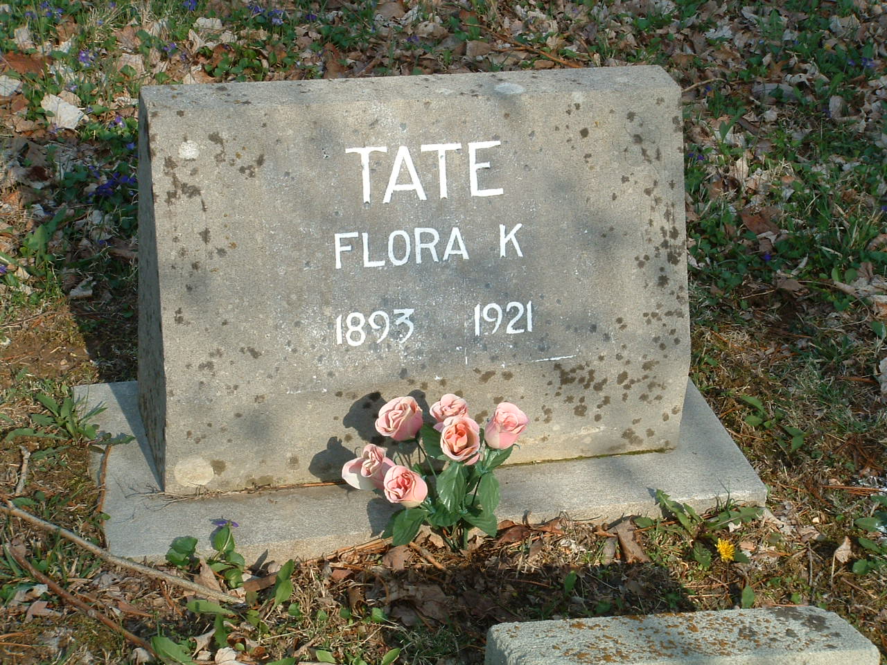 Lucas Cemetery Photos